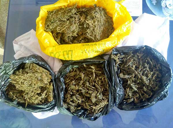 ಅಕ್ರಮ ಗಾಂಜಾ ಮಾರಾಟ: ನಾಲ್ವರ ಬಂಧನ